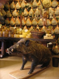 Wild Boar Norcia Shop